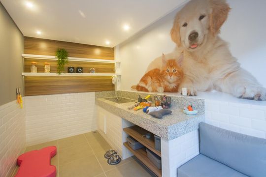 Área comum de apartamento para alugar com 1 quarto, 32m² em Vila das Belezas, São Paulo