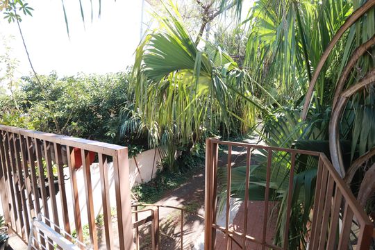 Varanda de casa para alugar com 3 quartos, 1000m² em Jardim Sumare, Ribeirão Preto