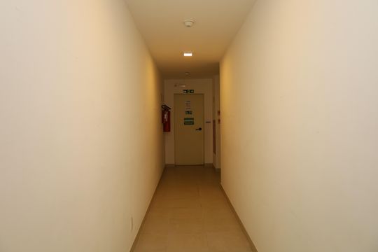 Área comum - Saguão do andar de apartamento para alugar com 2 quartos, 41m² em Jardim Helian, São Paulo