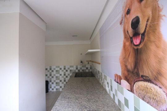 Área comum de apartamento para alugar com 2 quartos, 47m² em Parque São Lourenço, São Paulo