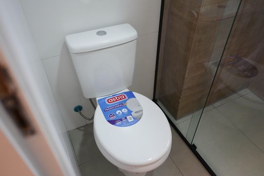 Banheiro de apartamento para alugar com 2 quartos, 56m² em Mooca, São Paulo