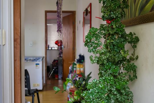 Entrada de casa à venda com 1 quarto, 650m² em Del Castilho, Rio de Janeiro