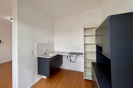 Cozinha de apartamento para alugar com 1 quarto, 36m² em Vila das Belezas, São Paulo