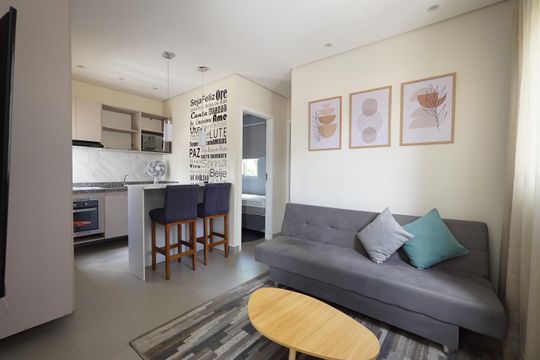 Sala de apartamento para alugar com 2 quartos, 34m² em Ipiranga, São Paulo