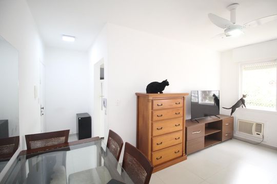 Apartamento para alugar com 1 quarto, 42m² em Vila Ipiranga, Porto Alegre