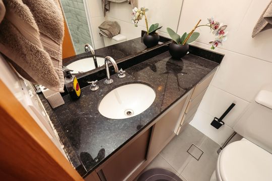 Banheiro de apartamento para alugar com 2 quartos, 59m² em Ipiranga, São Paulo