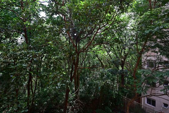 Vista da Suíte de apartamento para alugar com 3 quartos, 176m² em Jardim Ampliacao, São Paulo