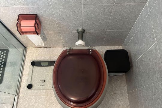 Banheiro de apartamento para alugar com 2 quartos, 80m² em Embaré, Santos