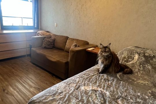 Apartamento para alugar com 4 quartos, 220m² em Vila Cruzeiro, São Paulo
