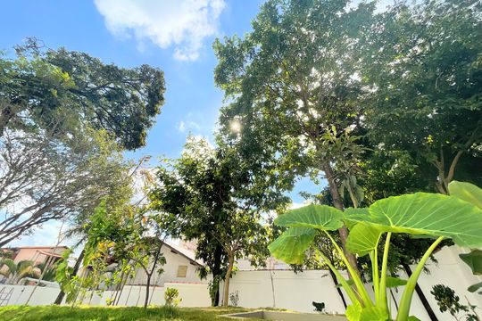 Área Verde do Condomínio de apartamento à venda com 2 quartos, 110m² em Jardim Atlântico, Belo Horizonte