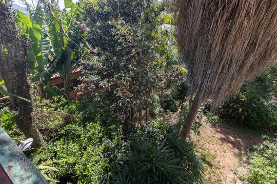 Quintal de casa à venda com 3 quartos, 350m² em Vila Albertina, São Paulo