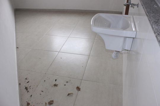 Área de Serviço de kitnet/studio para alugar com 1 quarto, 36m² em Jardim Artidoro, Guarulhos