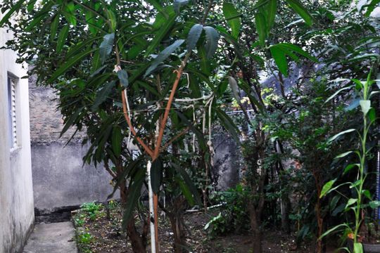 Área comum de casa à venda com 2 quartos, 250m² em Jardim Monjolo, São Paulo