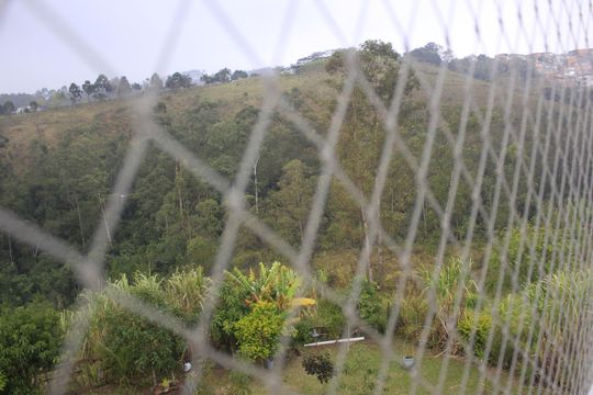 Vista da Varanda da Sala de apartamento à venda com 2 quartos, 50m² em Parque Continental, Guarulhos