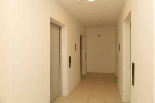 Área comum - Saguão do andar de apartamento à venda com 3 quartos, 47m² em Artur Alvim, São Paulo