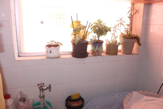 Área de Serviço de apartamento à venda com 2 quartos, 62m² em Vila Palmares, São Caetano do Sul