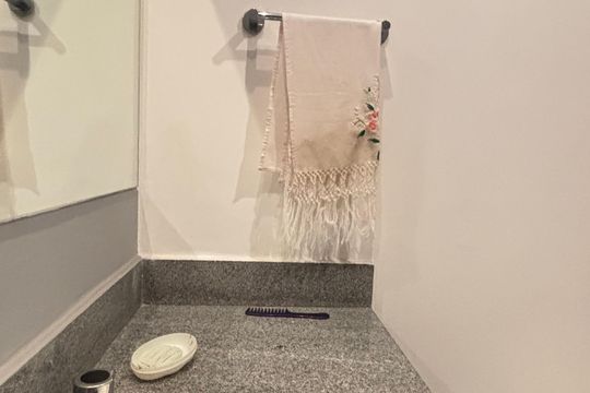 Lavabo de apartamento para alugar com 1 quarto, 97m² em Jardim, Santo André