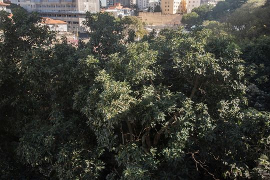 Vista da Varanda de kitnet/studio à venda com 1 quarto, 60m² em Chácara Inglesa, São Paulo
