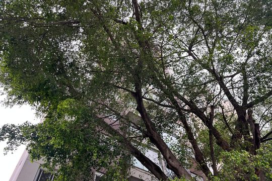 Fachada do Prédio de apartamento para alugar com 2 quartos, 54m² em Lapa, São Paulo