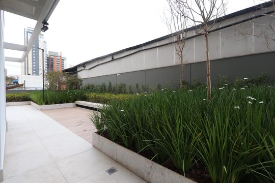 Área comum - Jardim de apartamento para alugar com 2 quartos, 77m² em Vila Mariana, São Paulo