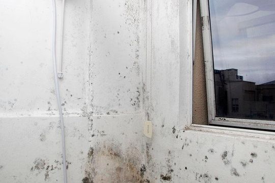 Banheiro de kitnet/studio à venda com 1 quarto, 15m² em Centro Histórico, Porto Alegre