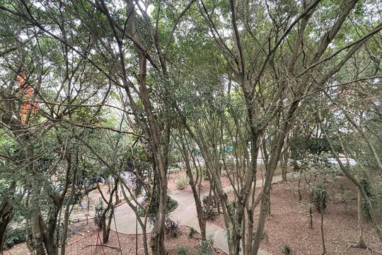 Sala Vista de apartamento à venda com 2 quartos, 81m² em Jardim Bela Vista, Santo André