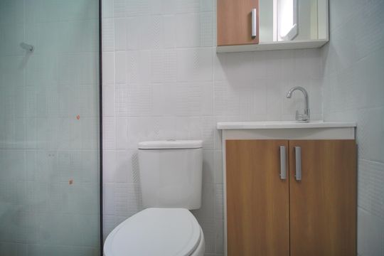 Banheiro Social de apartamento para alugar com 1 quarto, 22m² em Santa Teresa, São Leopoldo