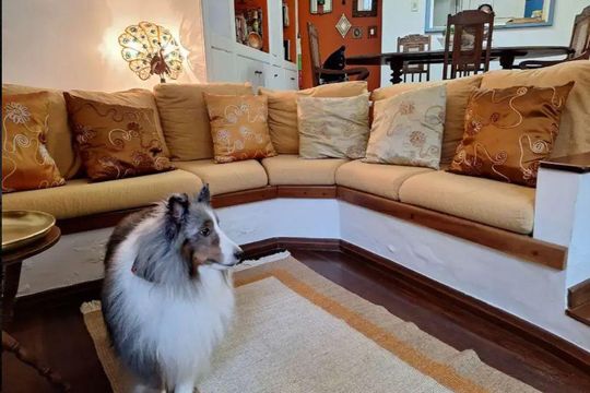 Sala de casa à venda com 3 quartos, 270m² em Vila Olímpia, São Paulo
