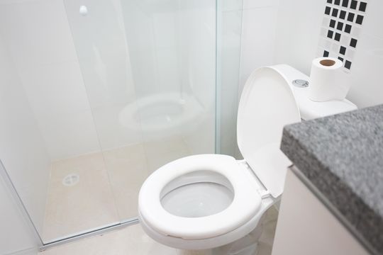 Banheiro de apartamento para alugar com 1 quarto, 41m² em Vila Invernada, São Paulo