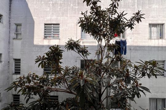 Área de Serviço - Vista de apartamento à venda com 2 quartos, 60m² em Vila Nossa Senhora de Fatima, Guarulhos