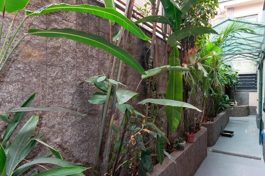 Área Externa de casa de condomínio à venda com 4 quartos, 229m² em Perdizes, São Paulo