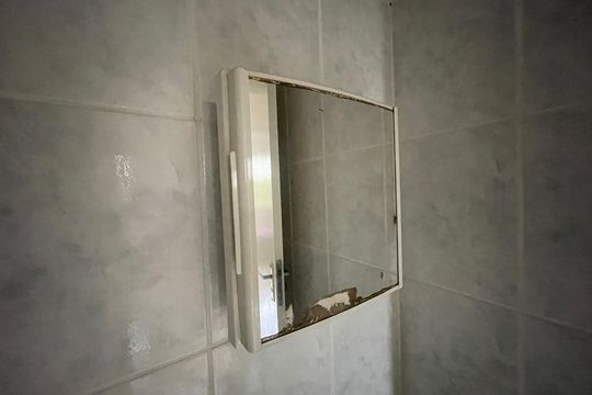 Banheiro de apartamento para alugar com 2 quartos, 49m² em Arco Íris, Cotia