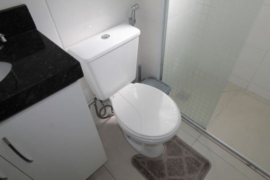 Banheiro Social de apartamento para alugar com 2 quartos, 47m² em Santa Branca, Belo Horizonte