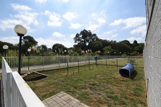 Área comum - Espaço Pet de apartamento para alugar com 2 quartos, 59m² em Colônia Rio Grande, São José dos Pinhais
