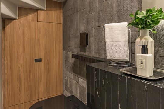 Lavabo de apartamento para alugar com 1 quarto, 55m² em Santo Amaro, São Paulo