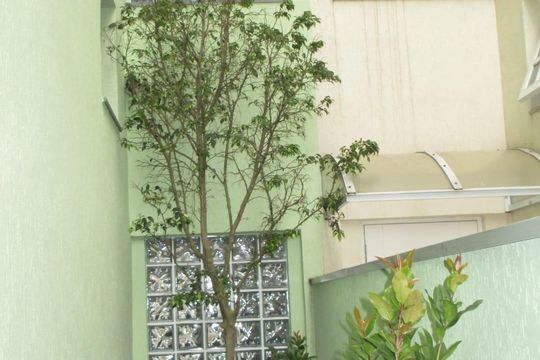 Área Externa de casa à venda com 4 quartos, 220m² em Nova Petrópolis, São Bernardo do Campo