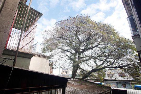 Quarto 1 Vista de apartamento à venda com 2 quartos, 63m² em Floresta, Porto Alegre