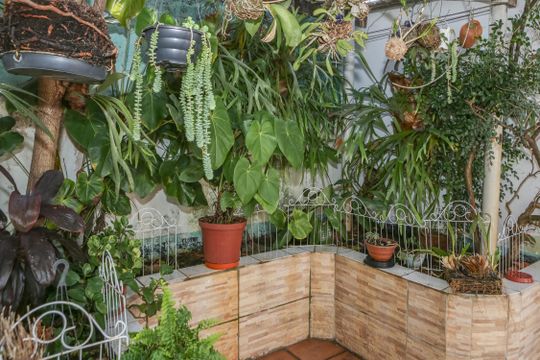Quintal de casa para alugar com 2 quartos, 150m² em Alto da Lapa, São Paulo