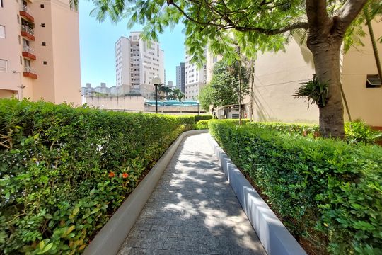 Área comum de apartamento para alugar com 2 quartos, 48m² em Vila Constanca, São Paulo