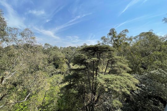 Vista de apartamento à venda com 4 quartos, 145m² em Rio Pequeno, São Paulo