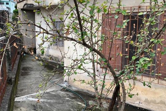 Casa à venda com 3 quartos, 85m² em Jardim Maria Estela, São Paulo