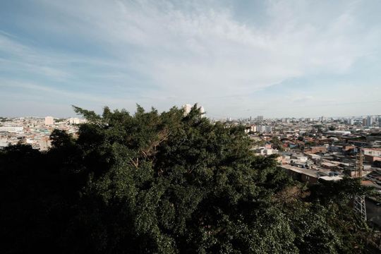 Quarto 1 vista  de apartamento à venda com 2 quartos, 39m² em Vila Buenos Aires, São Paulo