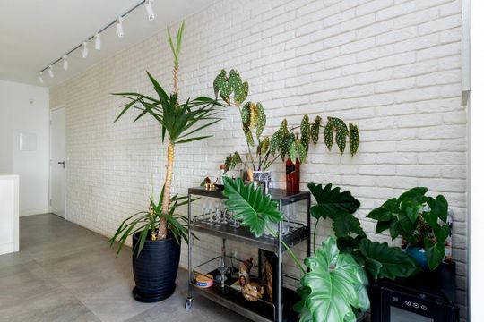 Sala de apartamento para alugar com 2 quartos, 72m² em Jaguaré, São Paulo