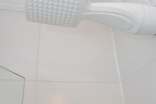 Banheiro de apartamento para alugar com 2 quartos, 33m² em Vila Leopoldina, São Paulo