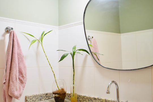 Lavabo de apartamento para alugar com 3 quartos, 105m² em Vila da Saúde, São Paulo