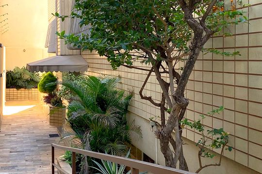 Área comum - Jardim de apartamento à venda com 5 quartos, 347m² em Santa Efigênia, Belo Horizonte