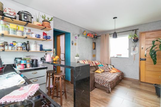 Cozinha e Sala de apartamento para alugar com 2 quartos, 55m² em Vila Ré, São Paulo