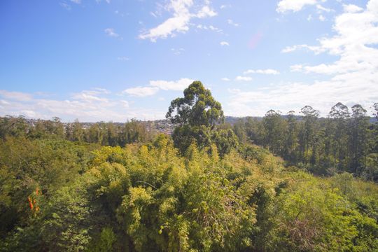 Vista do Quarto 2 de apartamento à venda com 2 quartos, 50m² em Operário, Novo Hamburgo