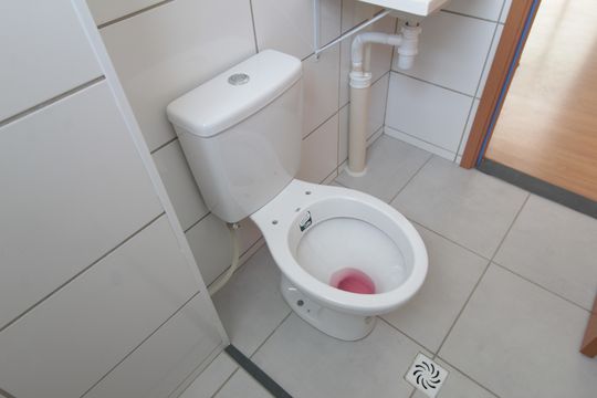 Banheiro Social de apartamento para alugar com 2 quartos, 45m² em Cerejeira (justinópolis), Ribeirão das Neves