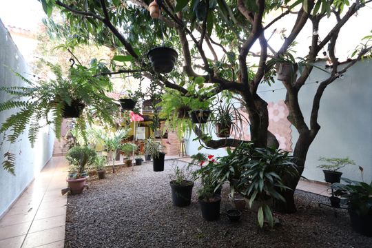 Quintal Ajardinado de casa à venda com 4 quartos, 260m² em Jardim Cotiana, São Paulo